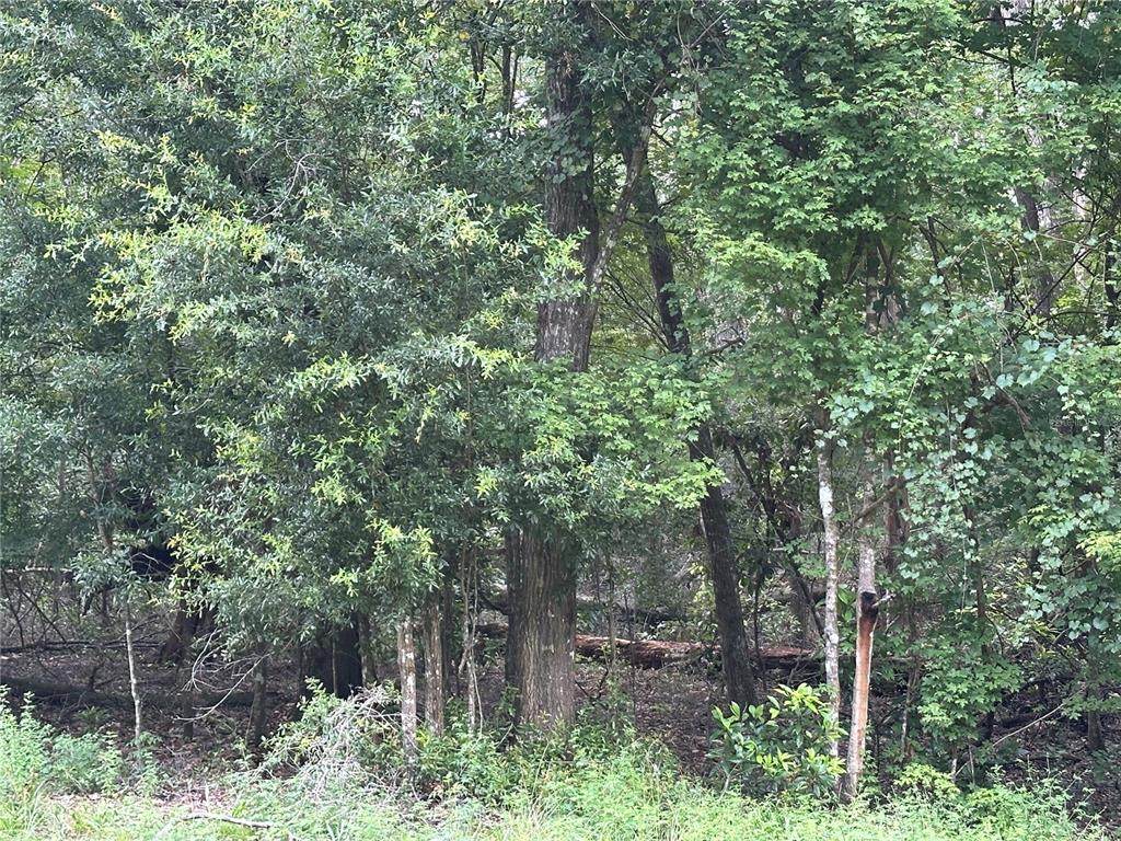 TBD Reno Way - Photo 1