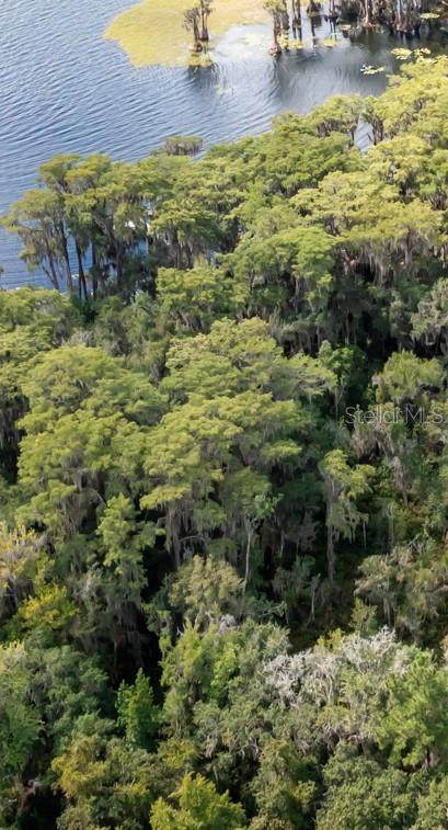 21707 115TH Avenue - Photo 1