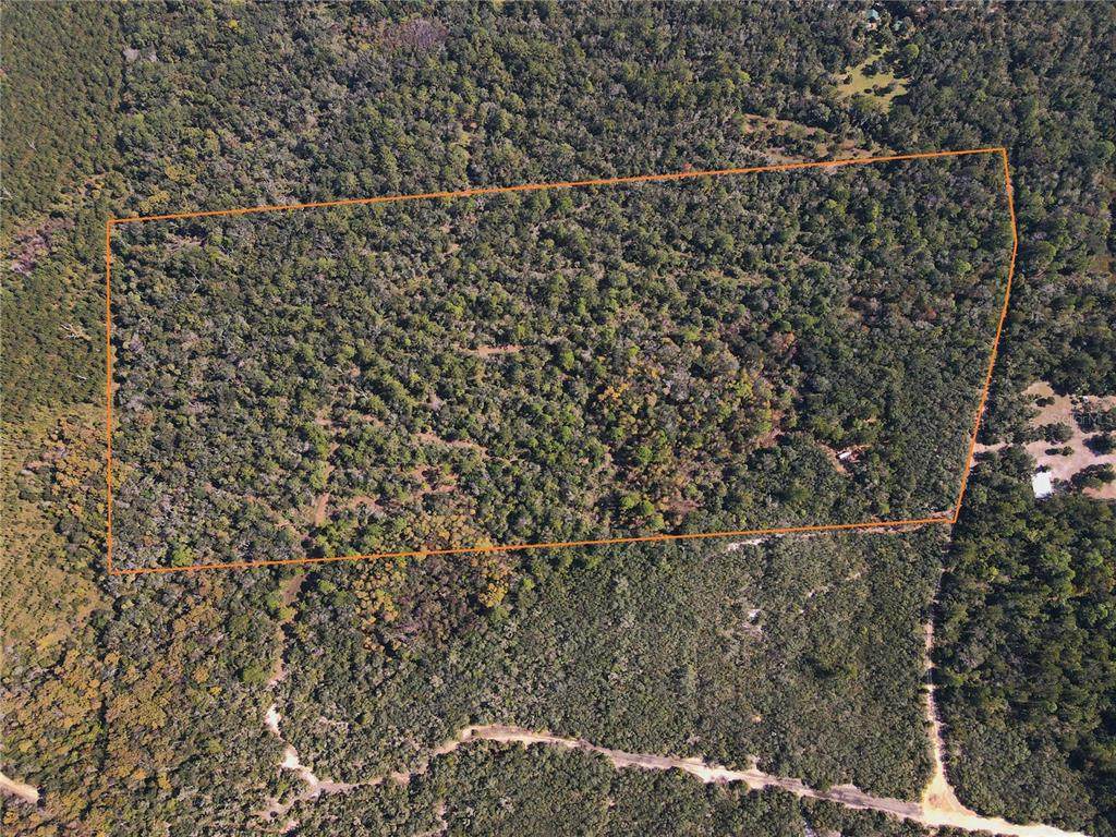 TBD Quail Road - Photo 1