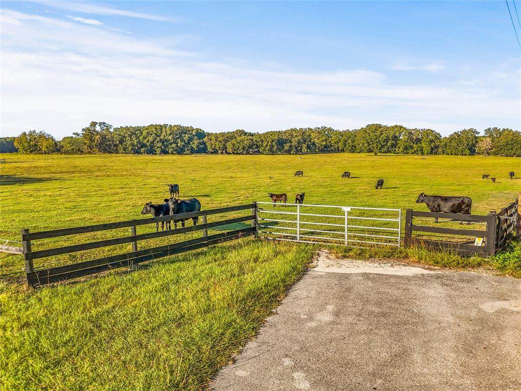 00 232ND Street - Photo 1