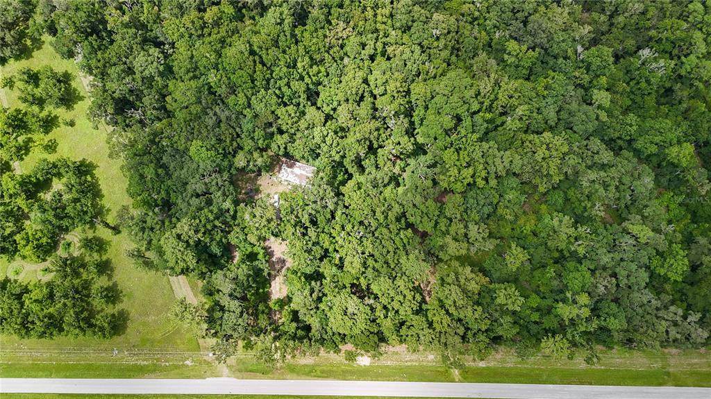 8146 County Road 346 - Photo 1