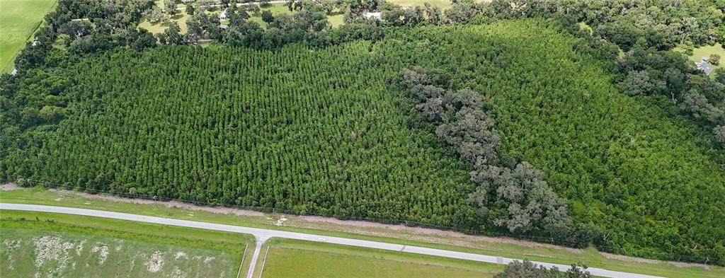 TBD County Road 346 - Photo 1