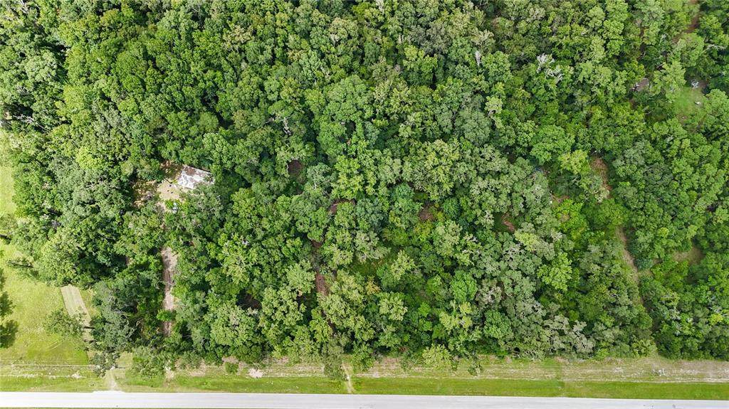 8124 County Road 346 - Photo 1