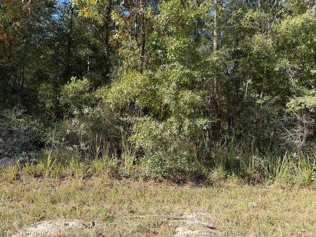  108TH Avenue - Photo 1