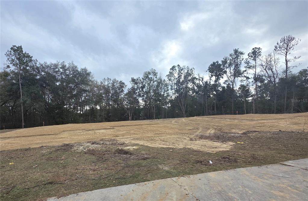 581 Bellflower Drive - Photo 1