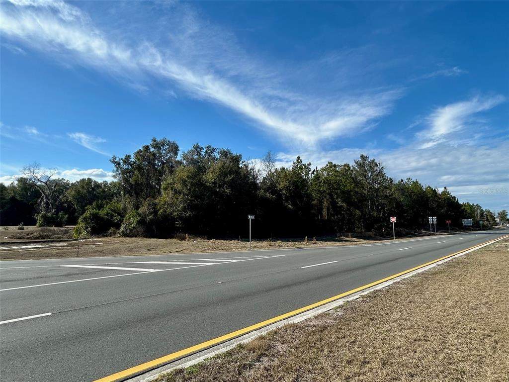 TBD Us Hwy 19 (N Young Blvd) - Photo 1