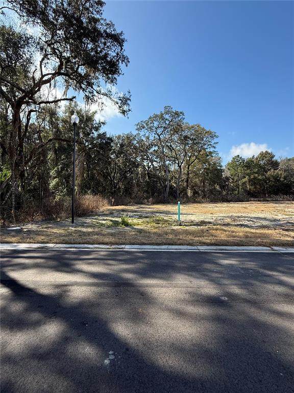 2630 250TH Terrace - Photo 1