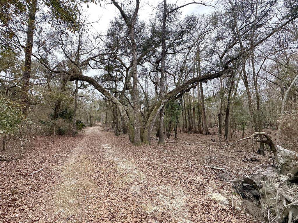 7875 County Road 344 - Photo 1