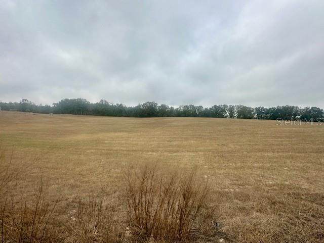  31ST Street - Photo 1