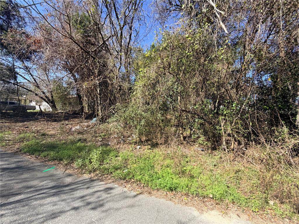 TBD 151ST Avenue - Photo 1