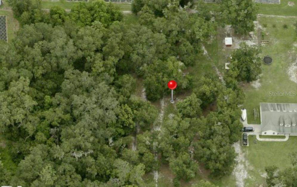 3015 Owls Nest Lane - Photo 1