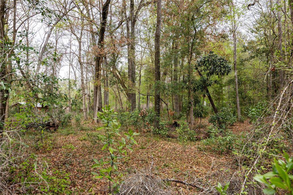 Lot 45 Boston Terrace - Photo 1