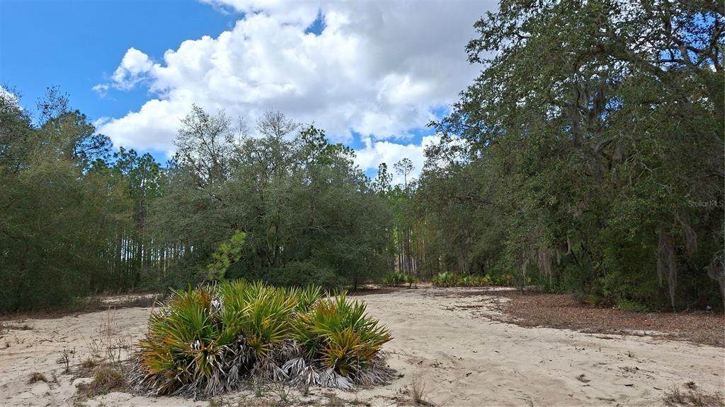 Fisher Way - Photo 1