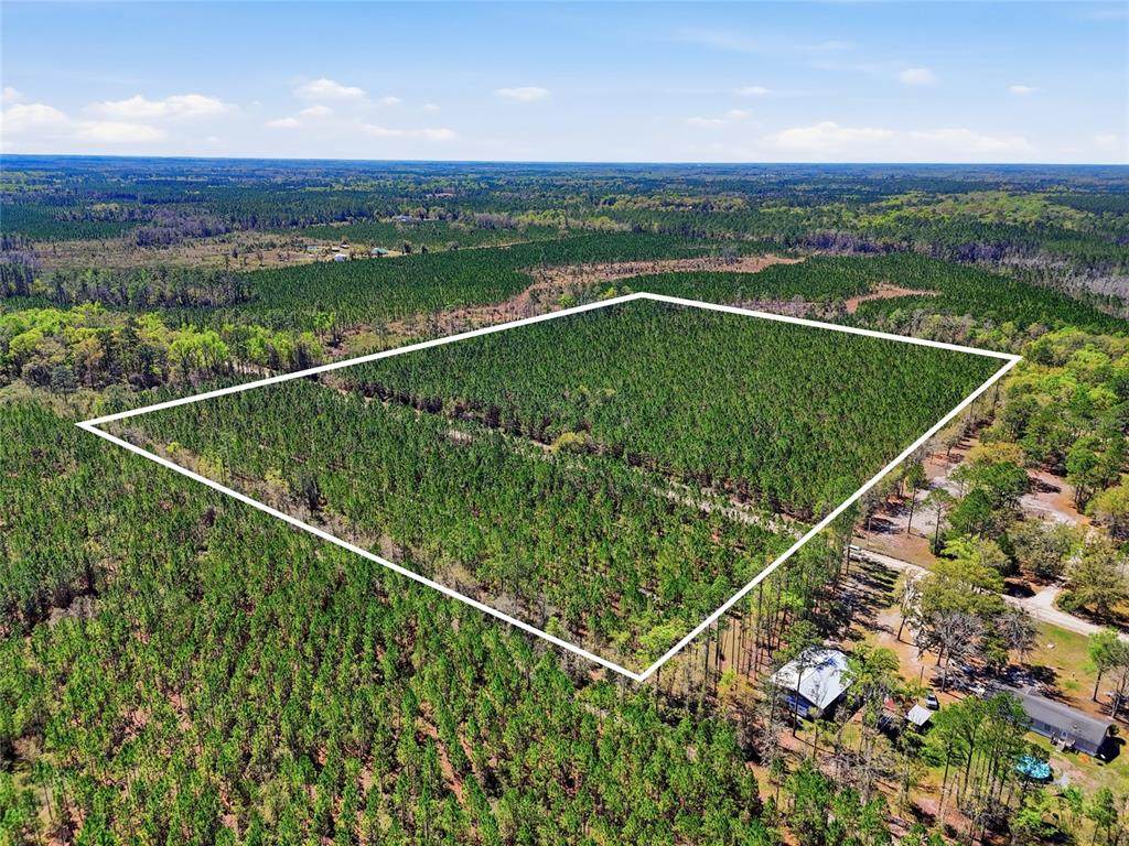 TBD Pounds Hammock Road - Photo 1