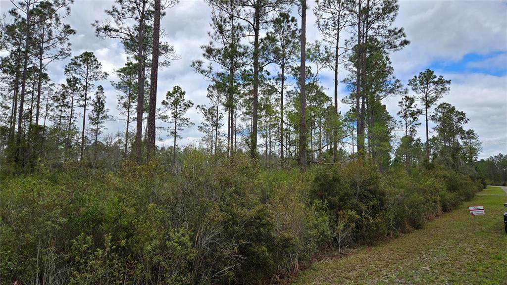 Lot 10 Natalie Way - Photo 1