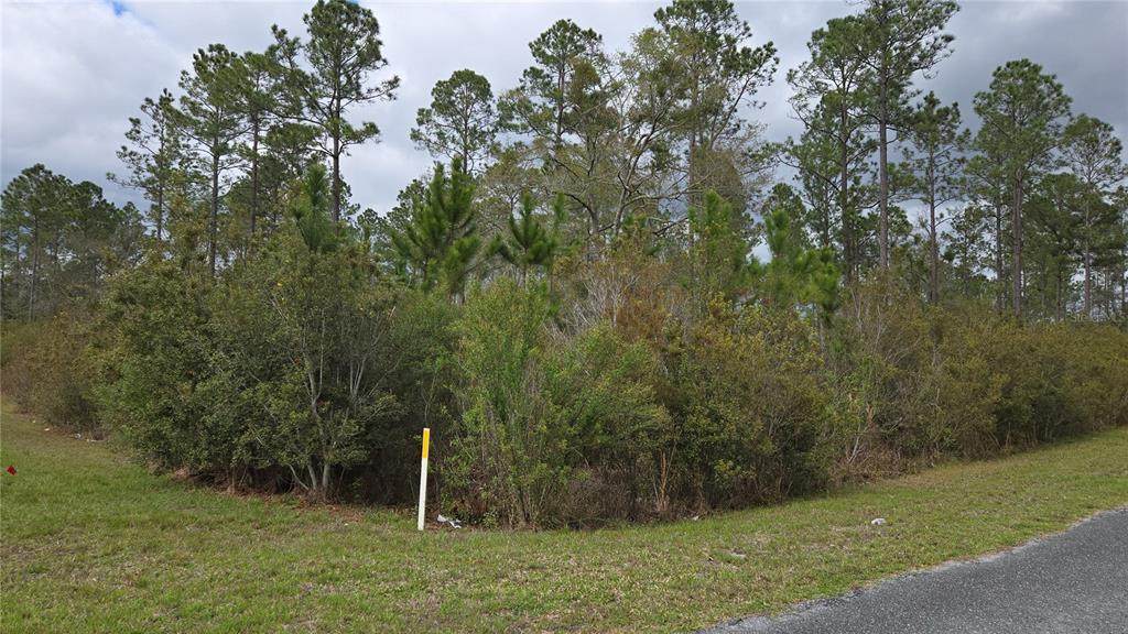 Lot 9 Natalie Way - Photo 1