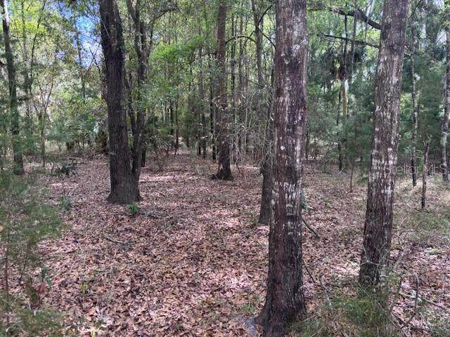 1.77 acres 73 Street - Photo 1