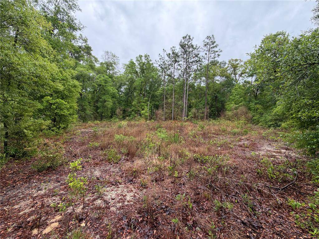 301 Rainbow Drive - Photo 1