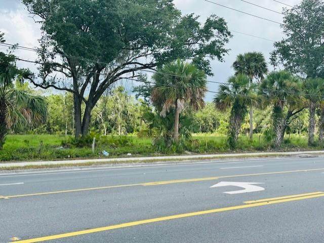 17450 Highway 19 - Photo 1