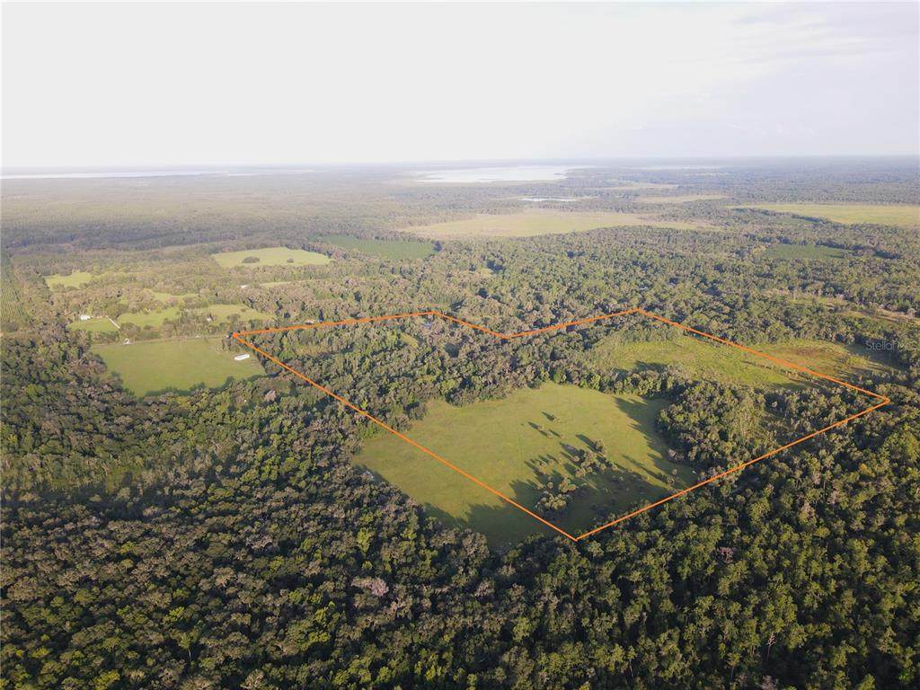 11816 County Road 234 - Photo 1
