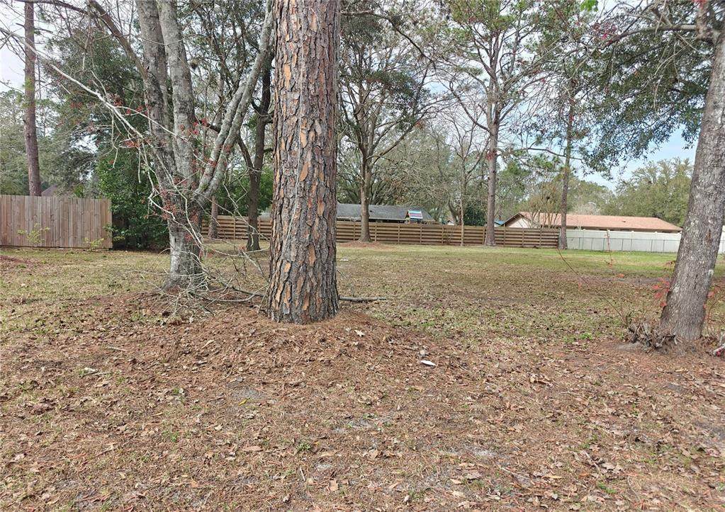  29TH Terrace - Photo 1
