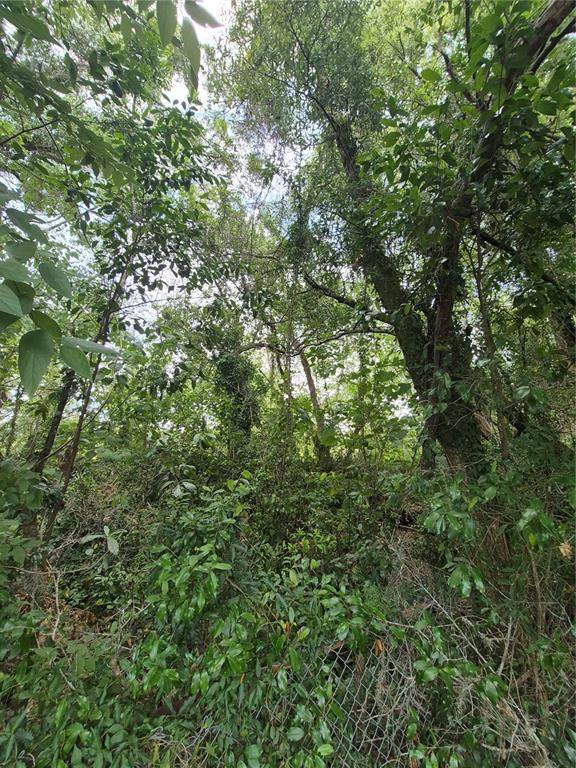 8748 Jacksonville Road - Photo 1