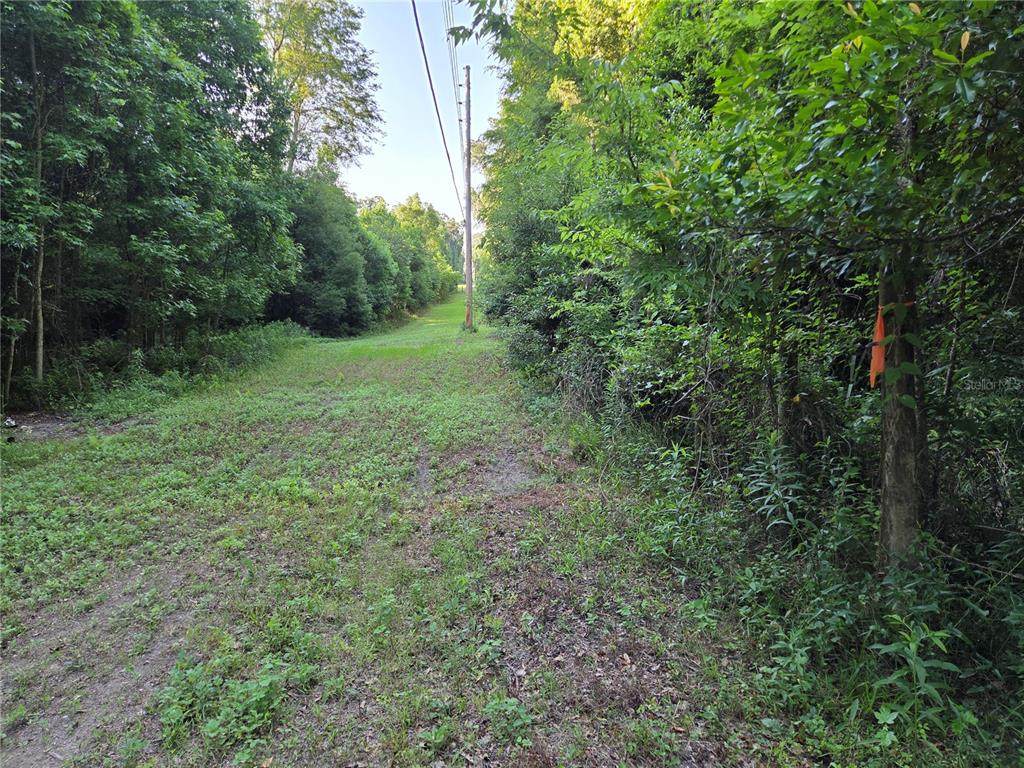 15929 135TH Terrace - Photo 1