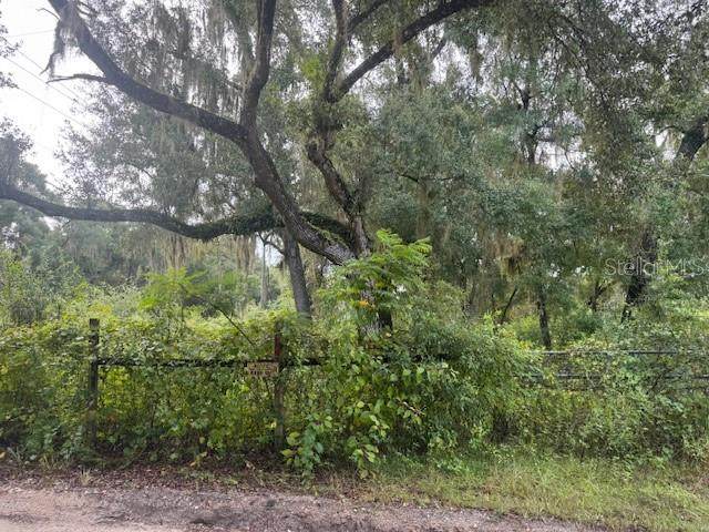 104 Floradandy Road - Photo 1