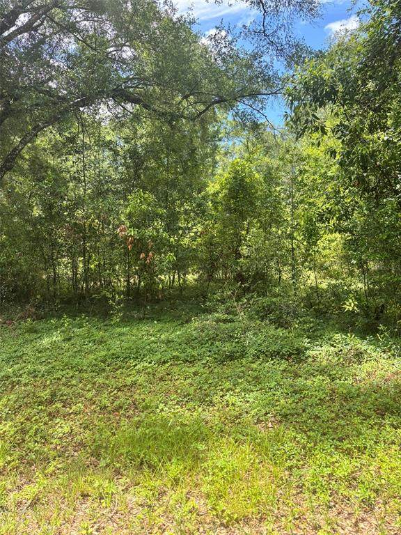 8230 166TH Street - Photo 1