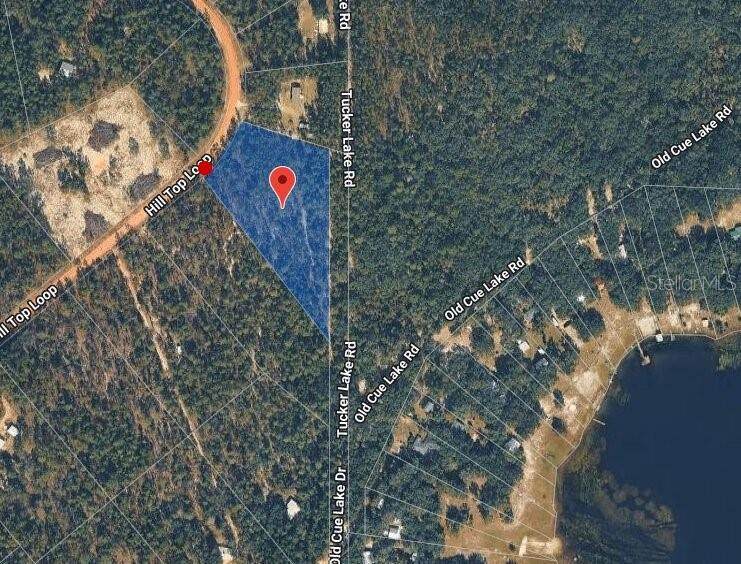 181 Hill Top Loop - Photo 1