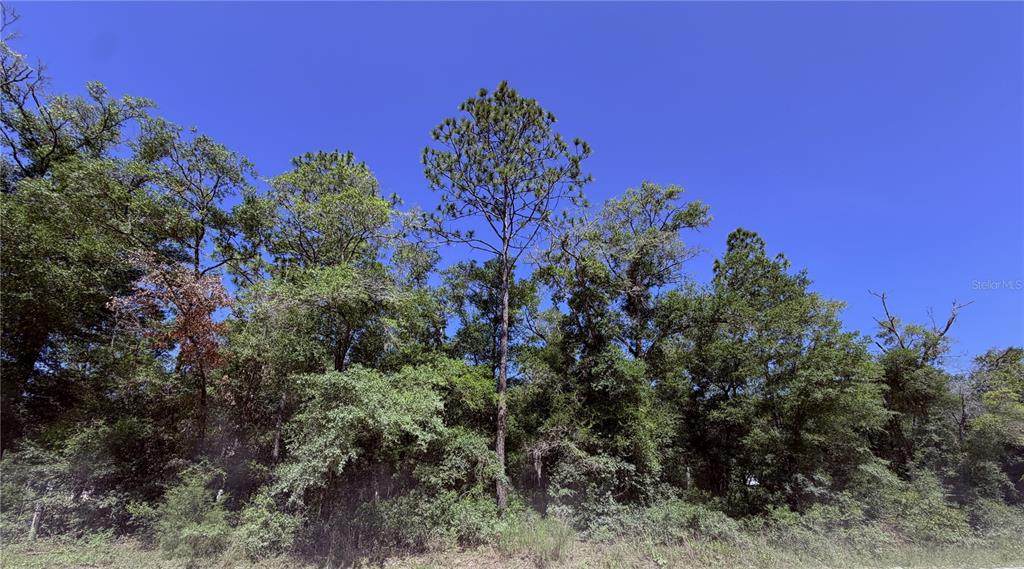0 90TH Avenue - Photo 1