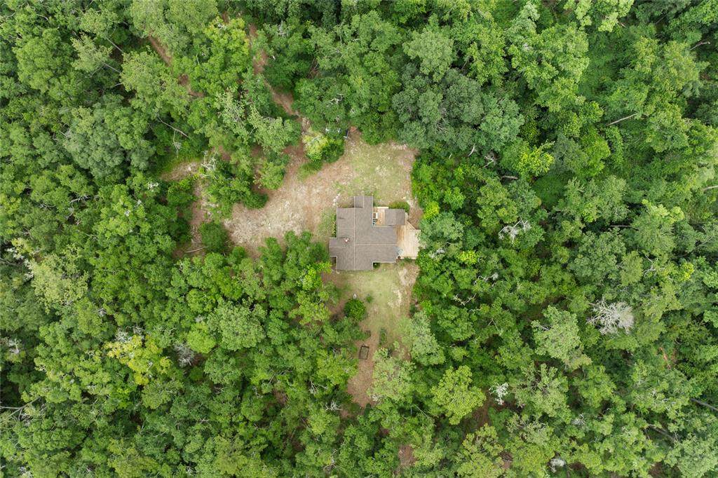 8250 Waukeenah Highway - Photo 1