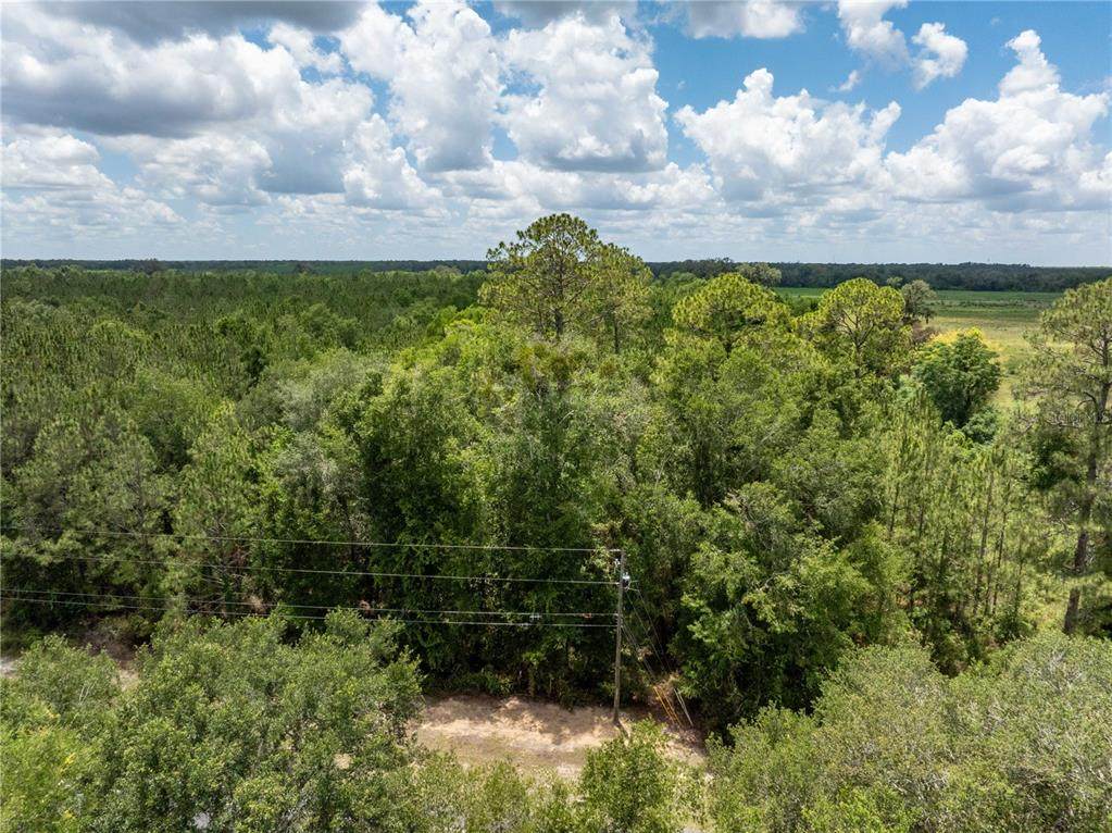 17198 State Road 47 - Photo 1