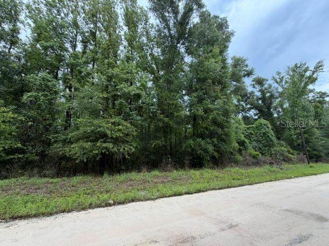  312TH Avenue - Photo 1