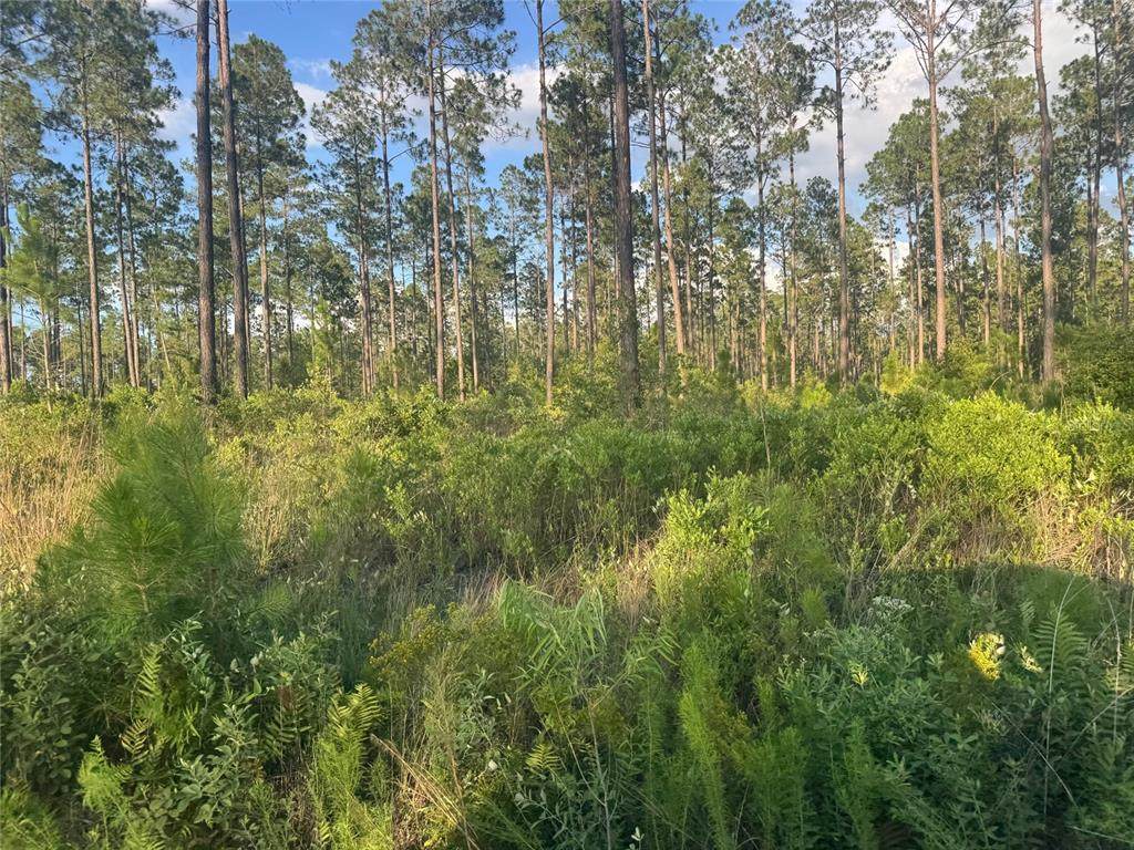 TBD Nw Cr 235 - Photo 1