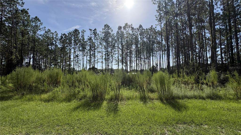 TBD 130TH Avenue - Photo 1