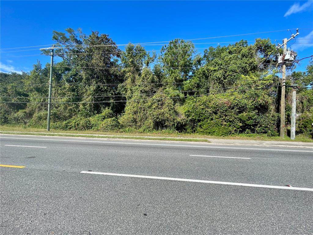  Us Hwy 301 - Photo 1