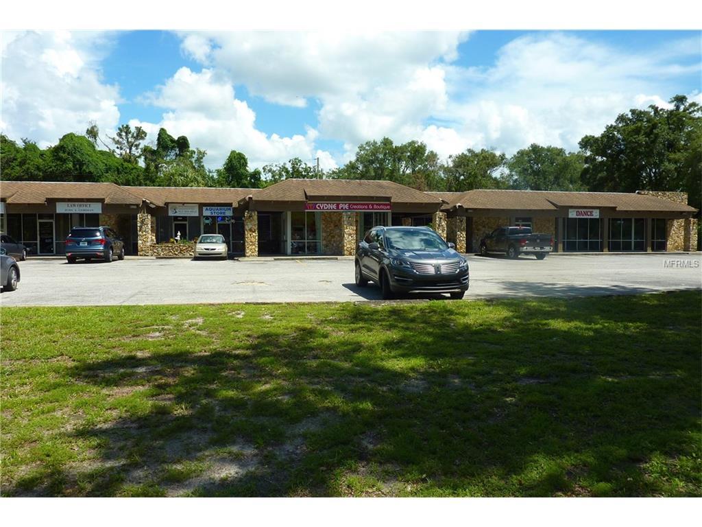 3936 Lake Padgett Drive - Photo 1