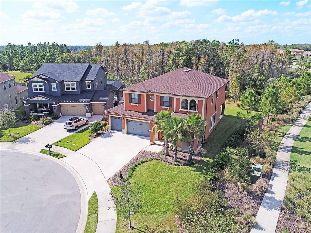 28802 Perilli Place - Photo 1