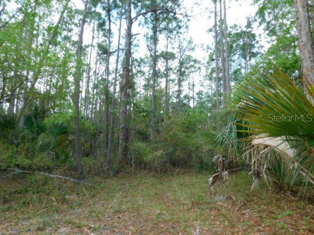 1121 Poinciana Drive - Photo 1 1121 Poinciana Drive - Photo 1