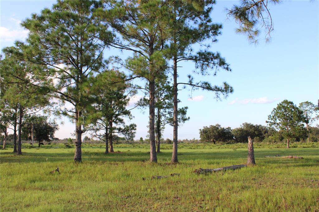 Frostproof Road - Photo 1