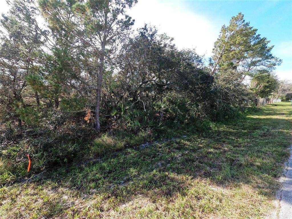 0 Oakridge Drive - Photo 1
