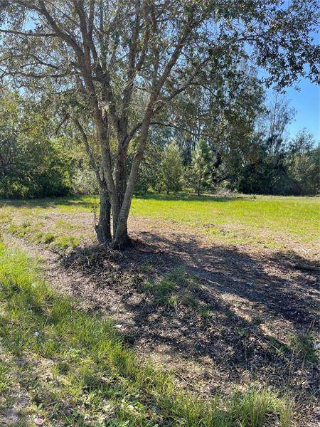 720 Frostproof Road - Photo 1