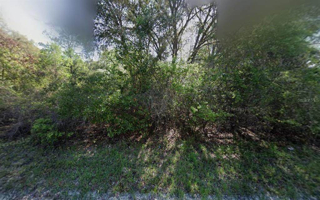  799TH Street - Photo 1