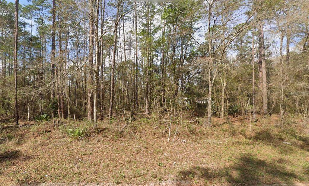  Seminole Avenue - Photo 1