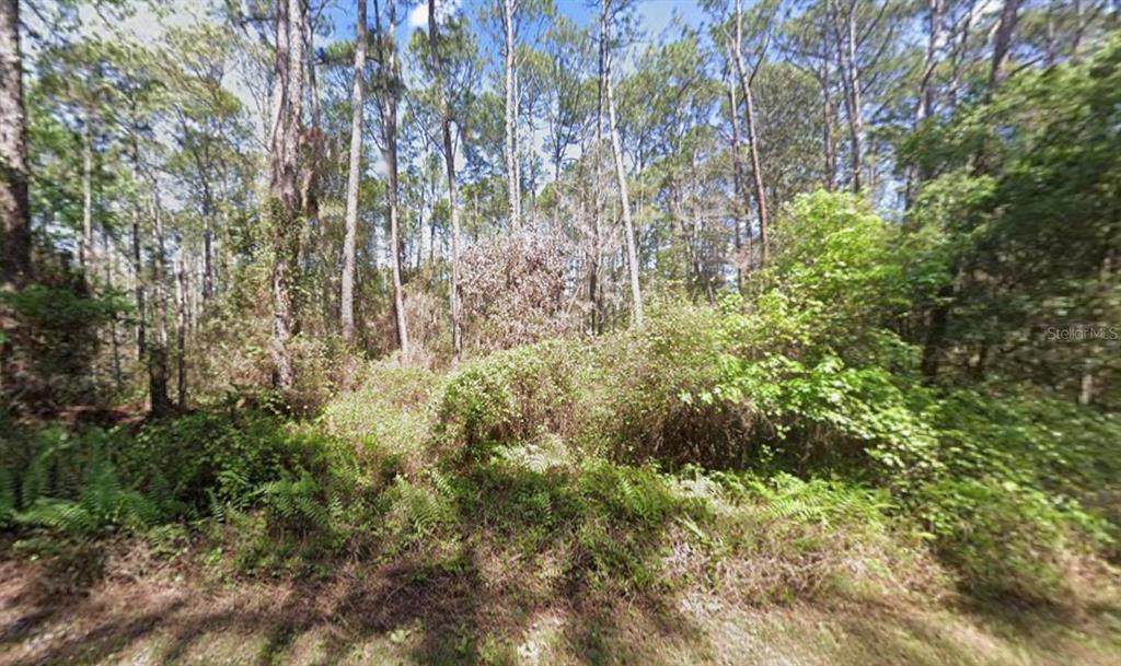 418 Palm Way - Photo 1