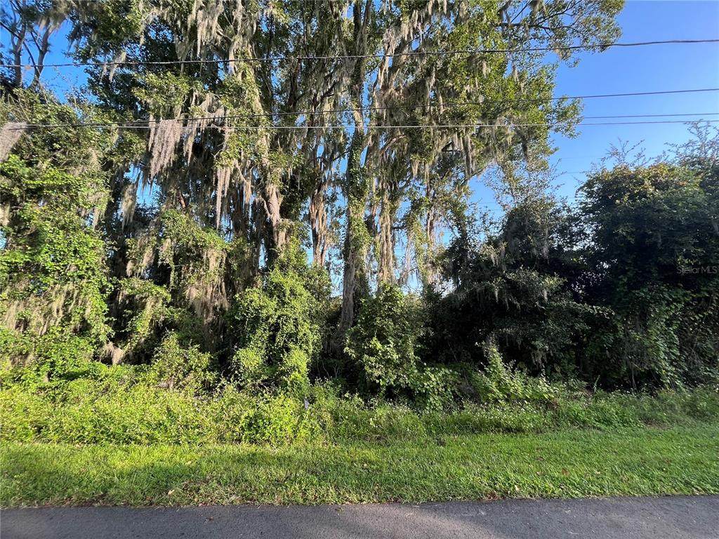262 Toms Road - Photo 1