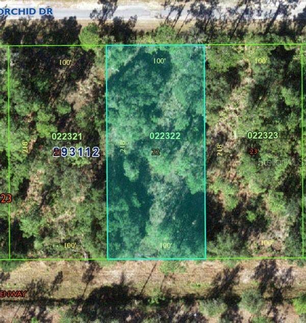 905 Orchid Dr - Photo 1