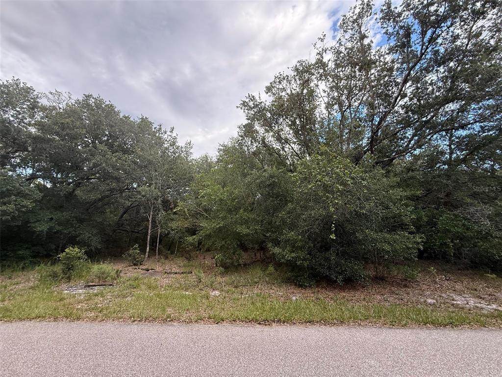 1012 Wildflower Street - Photo 1