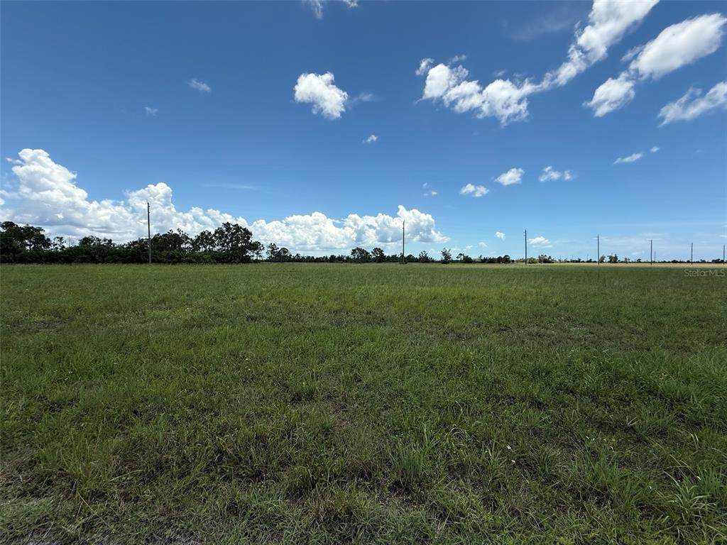 12439 Greenling Way - Photo 1